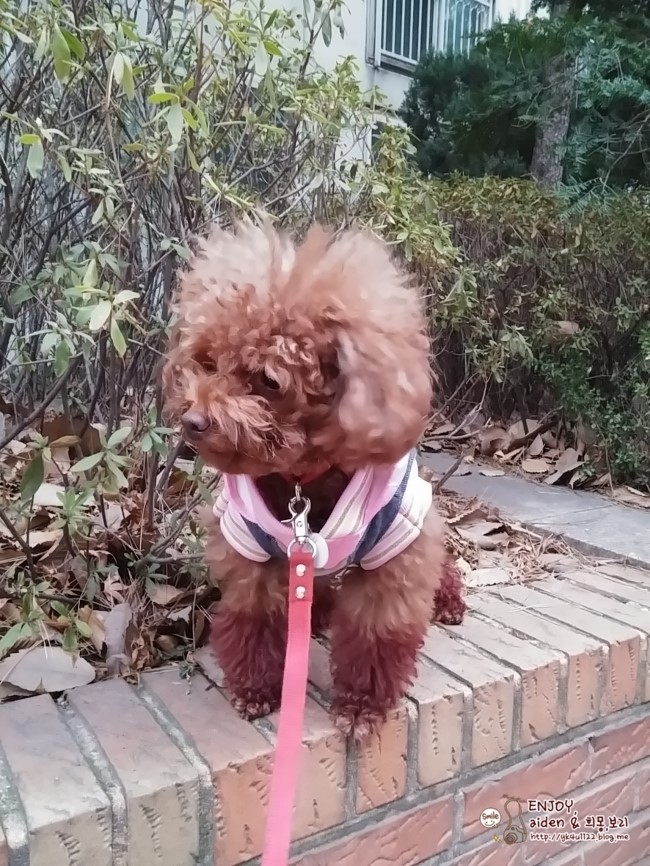 인순이미용실 이미지