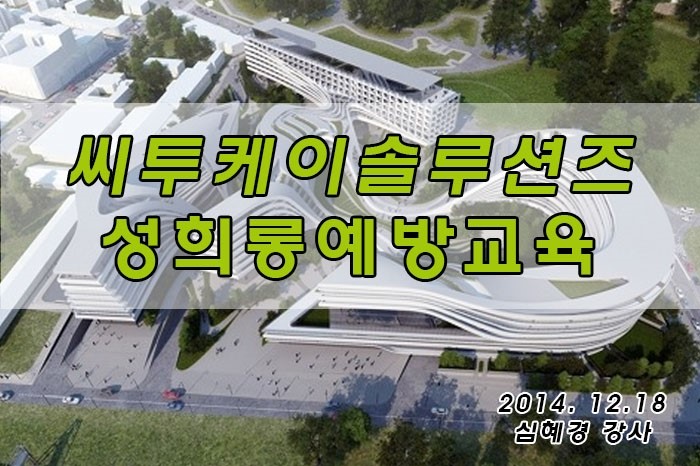 씨투케이솔루션즈주 이미지
