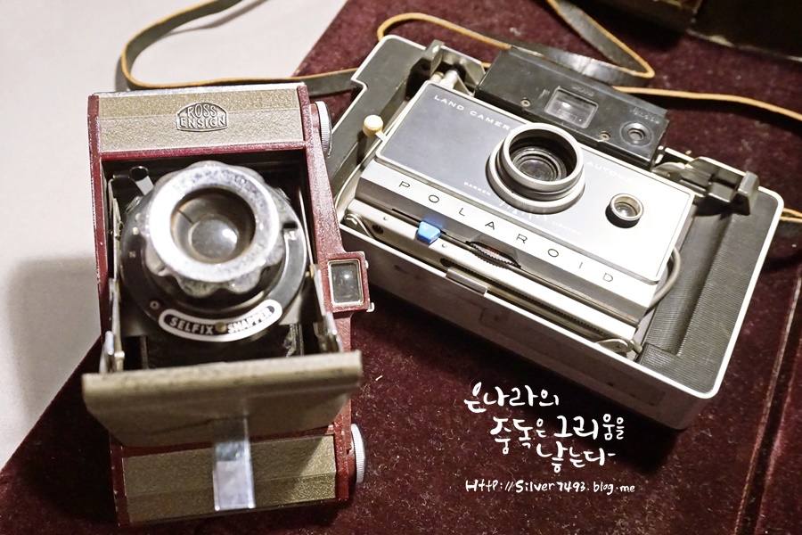 영원디자인 이미지