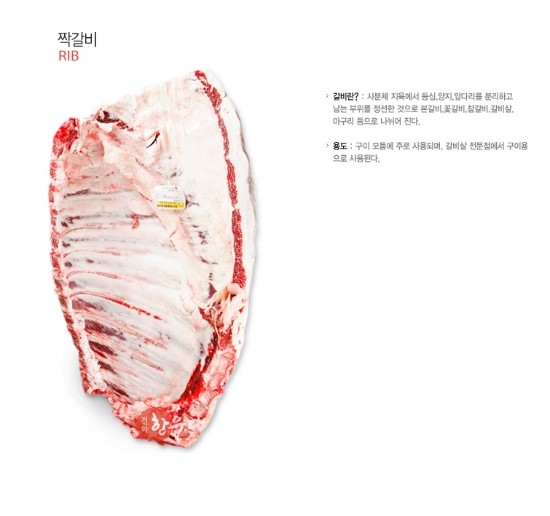 순한우암소한마리 이미지