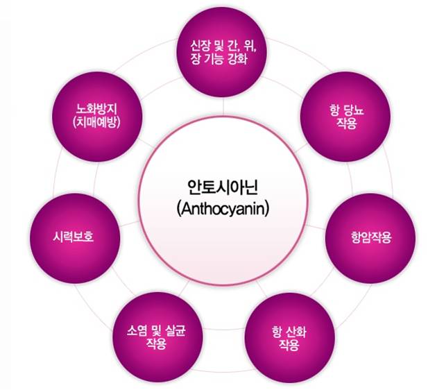 (주)자색나라 이미지