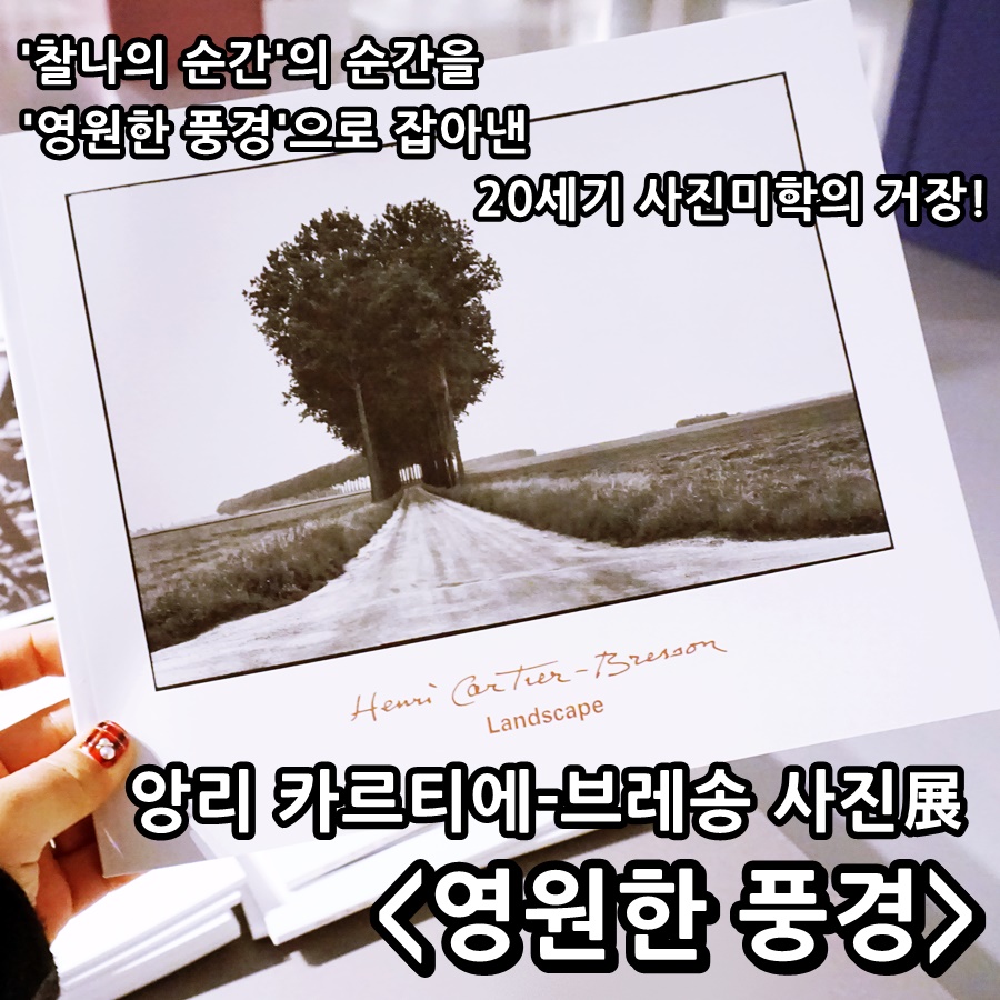 영원디자인 이미지
