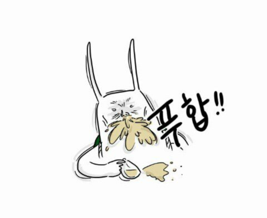 솔낭구 이미지