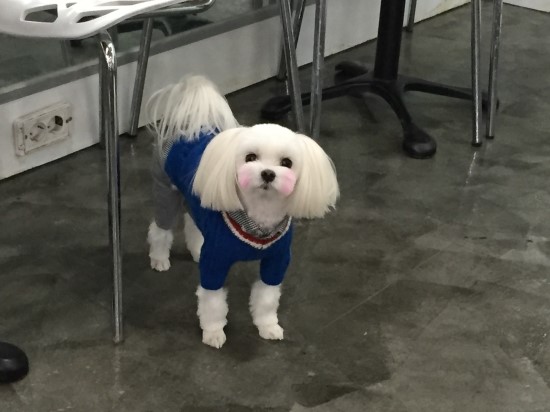두리PC 이미지