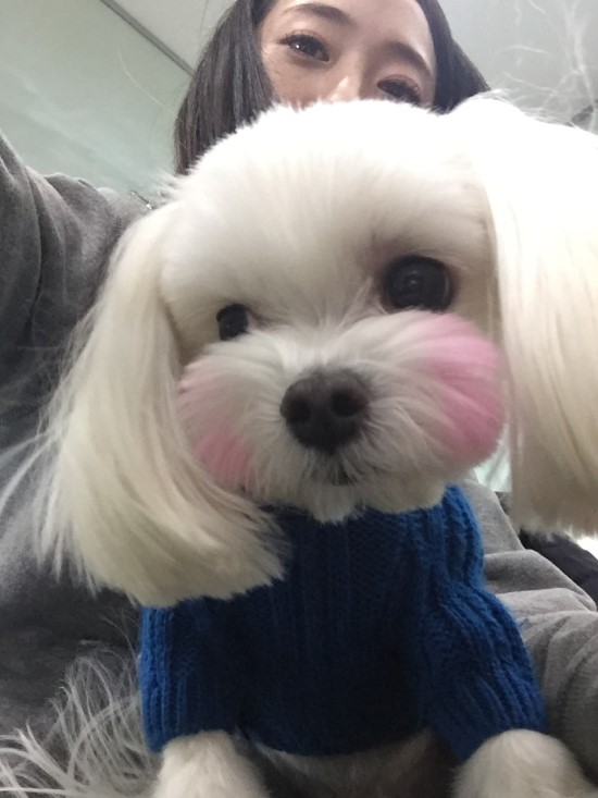 두리PC 이미지