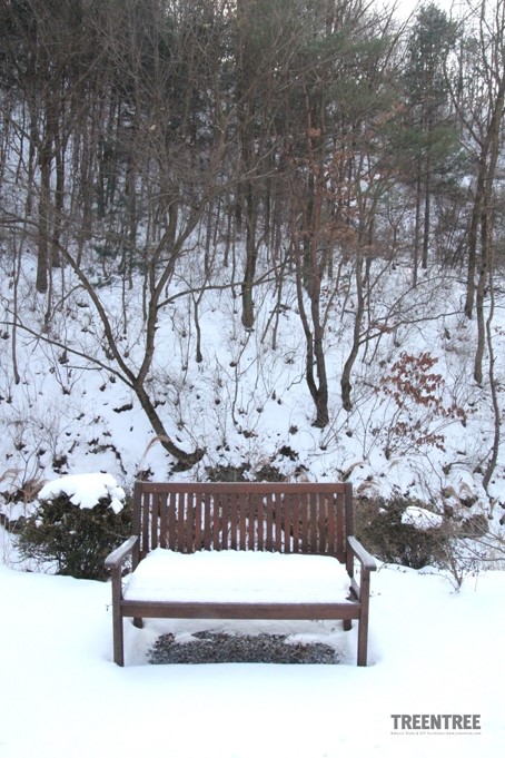 나무사이에자연속으로 이미지