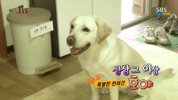 호야농장 이미지