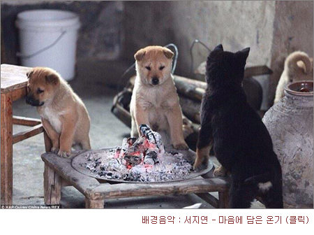 전자담배베이핑스토리 이미지
