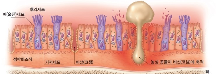 (주)에이알씨 이미지