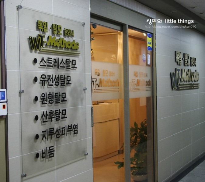 독일WT메소드 이미지