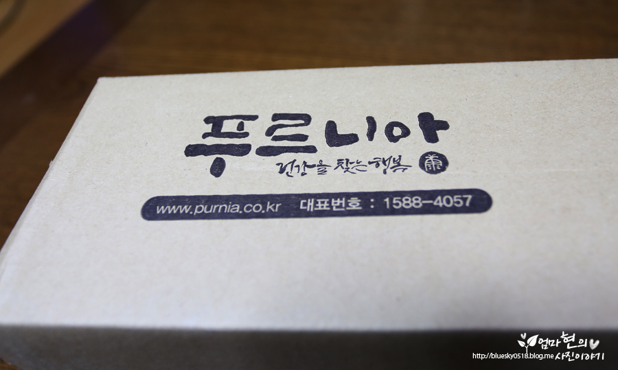푸르니아 이미지