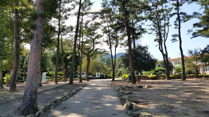 북일초등학교 이미지