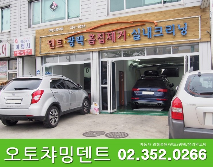 오토덴트칼라 이미지