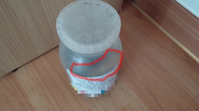 꼬마장수 어린이집 이미지