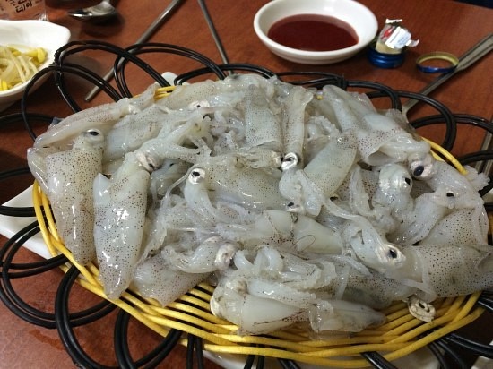 영아네 이미지