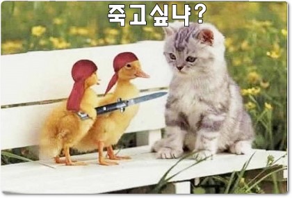 포토월드 이미지