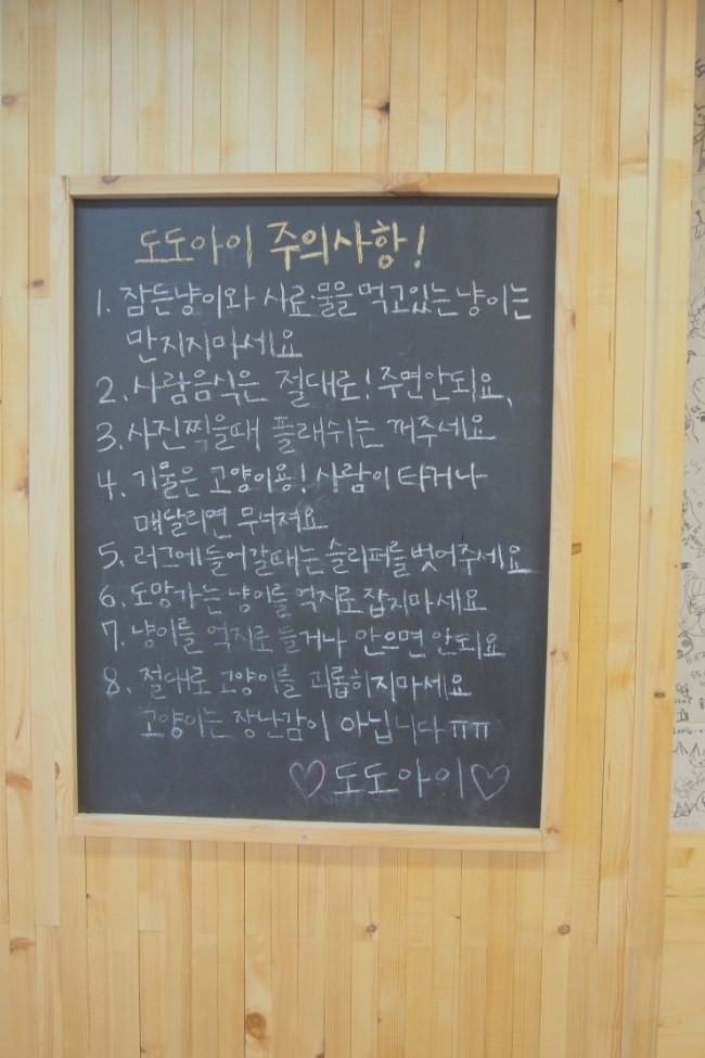 카페도도 이미지