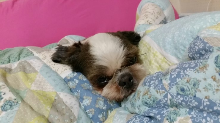 데일리 프레시 이미지