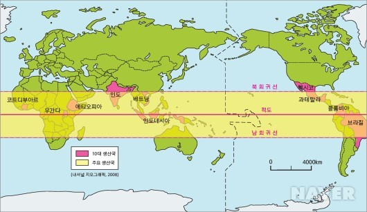 참한커피 이미지
