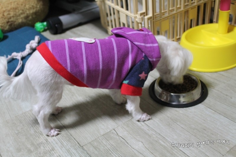 데일리 프레시 이미지