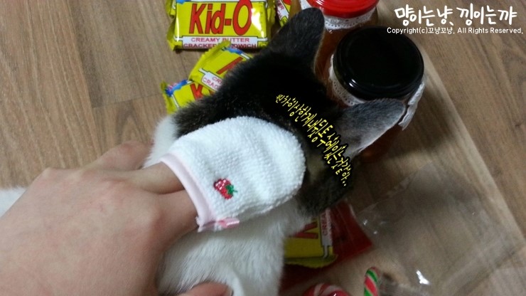 광란소나타 이미지