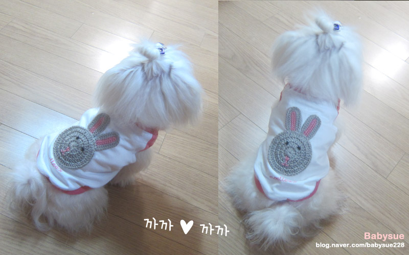 까까쟁이 이미지