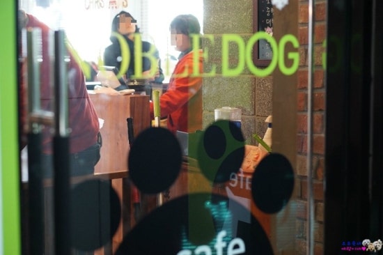 노블도그 이미지