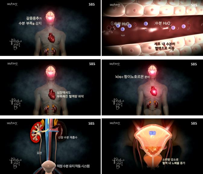 스튜디오물 이미지
