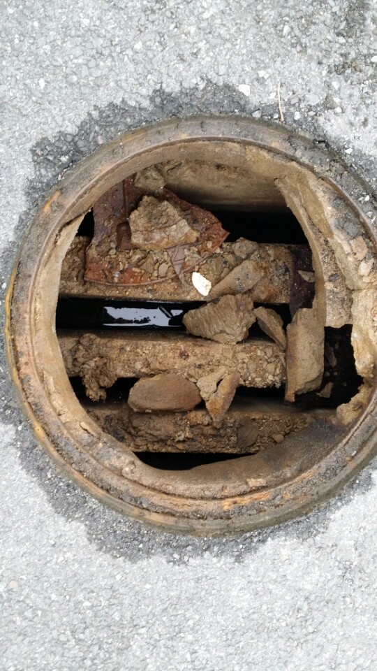 봉선중학교 이미지