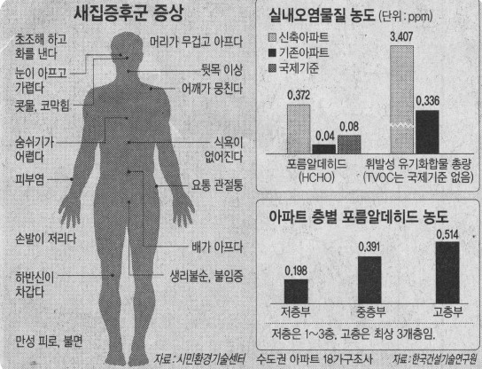 예스크린 이미지