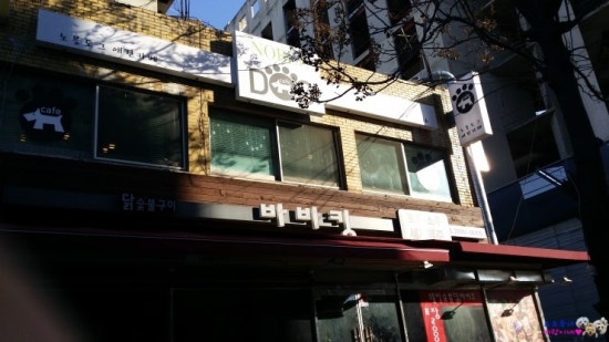 노블도그 이미지