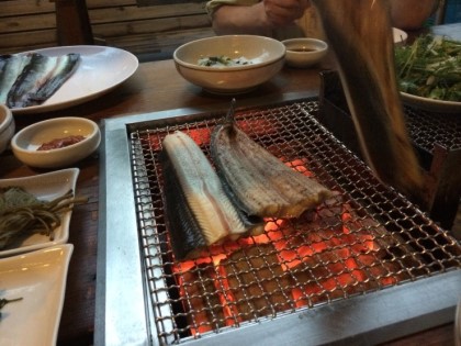 동림장어 이미지