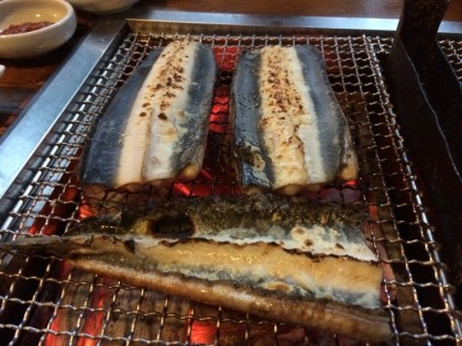 동림장어 이미지