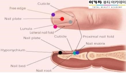 네일;연이가 이미지