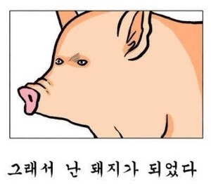 돼지이야기 이미지