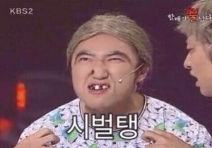 돼지이야기 이미지