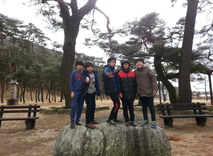 아침연꽃 이미지