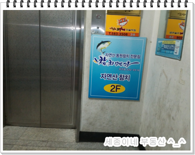 대전버드네초등학교 이미지