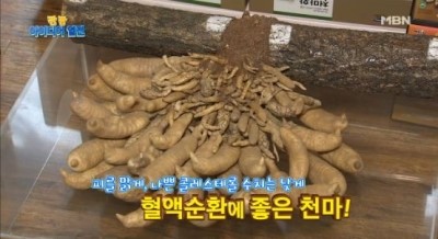천마니 이미지