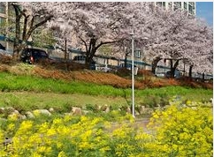 신라여인숙 이미지