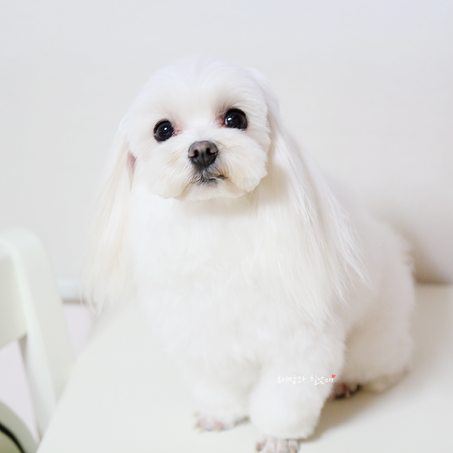 하랑푸드 이미지