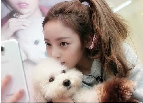 하라헤어 이미지