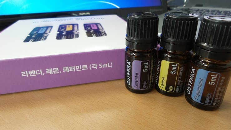 라인네트워크 이미지