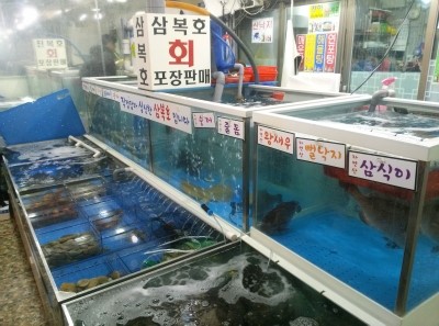 삼복집 이미지