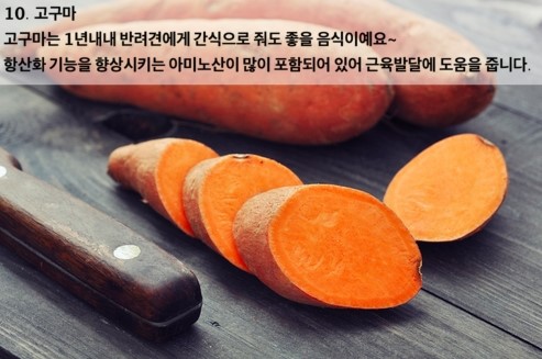 우리과일야채 이미지