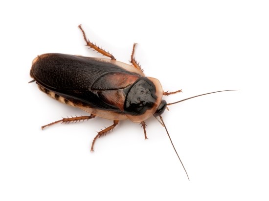 깔끔이환경 이미지