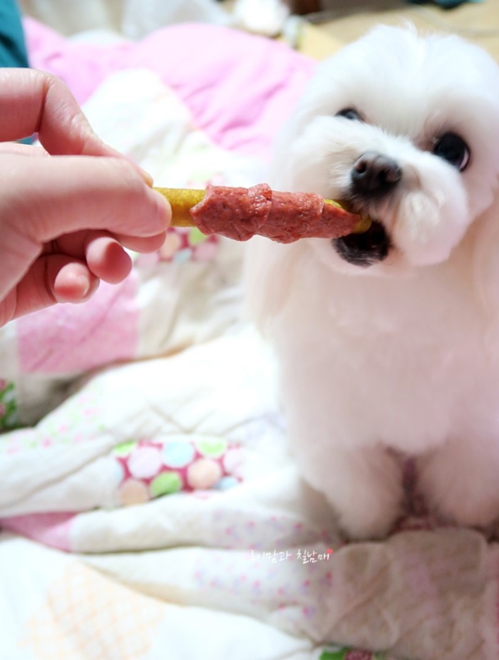 하랑푸드 이미지