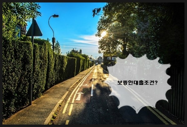 와이넷 이미지