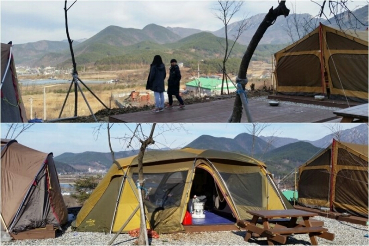 캠핑&짱작 이미지