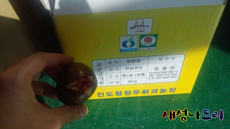 윤선정보기술 이미지